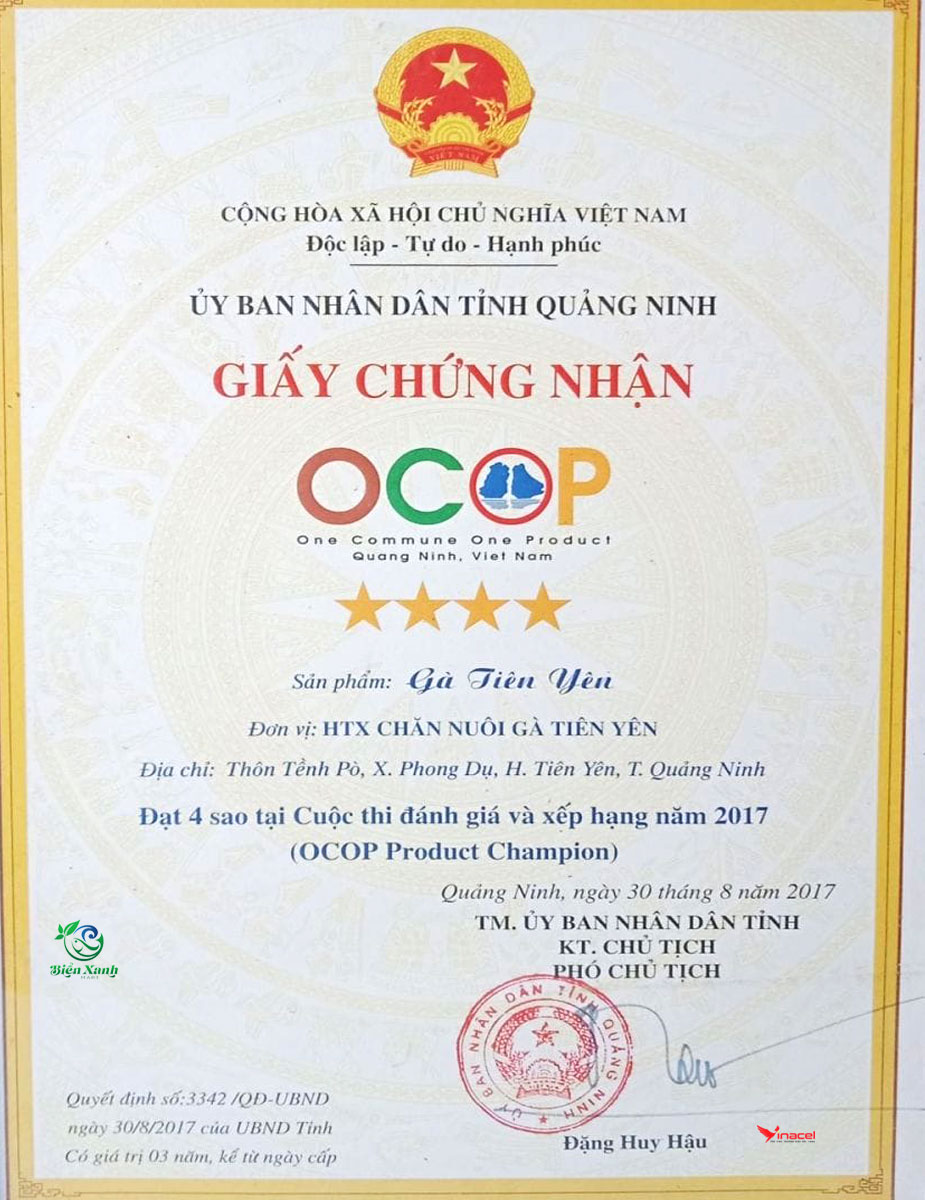 Đặc sản gà đồi Tiên Yên - OCOP 4 Sao Quảng Ninh