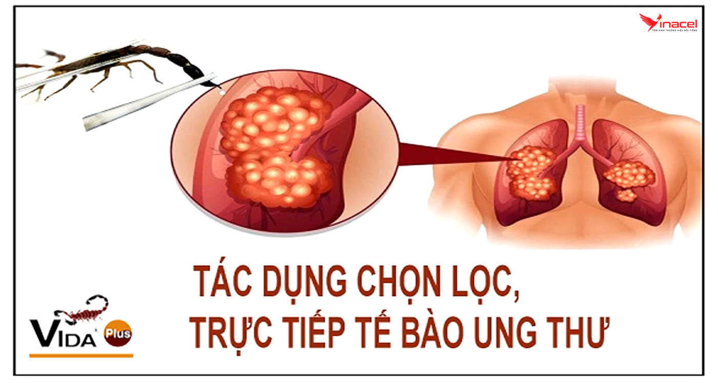 Labiofam Vida Plus Có Tốt Không?