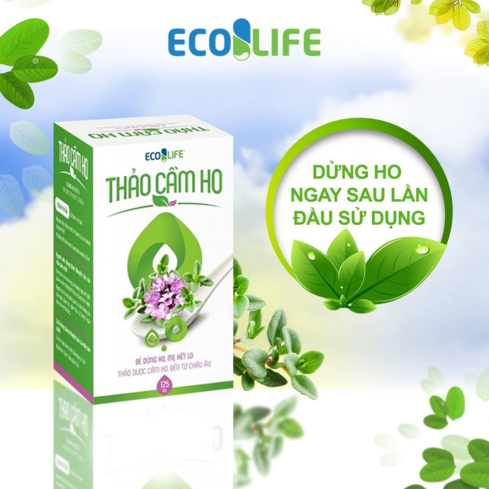 Thực phẩm chức năng Thảo cầm ho