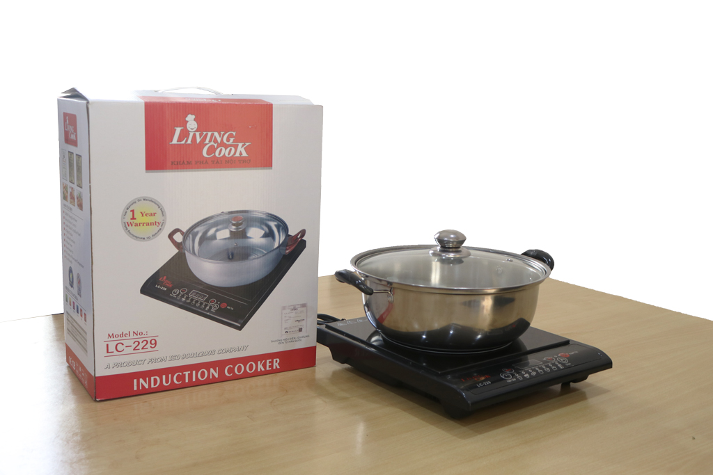 Bếp từ Livingcook LC229