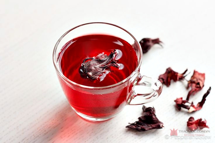 Công dụng tuyệt vời của Hồng hoa Hibiscus