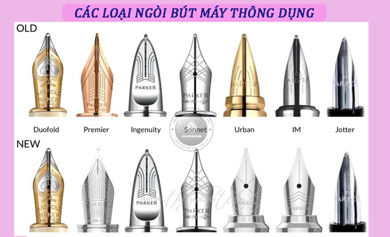 Các loại ngòi bút máy thông dụng? 