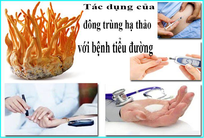 Chữa bệnh tiểu đường bằng Đông trùng hạ thảo