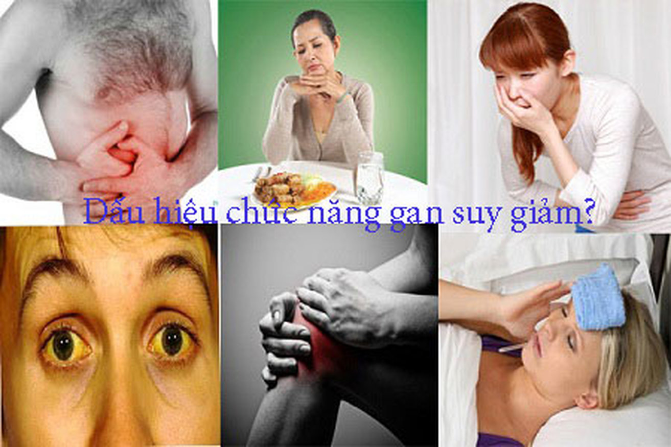 Suy giảm chức năng gan?