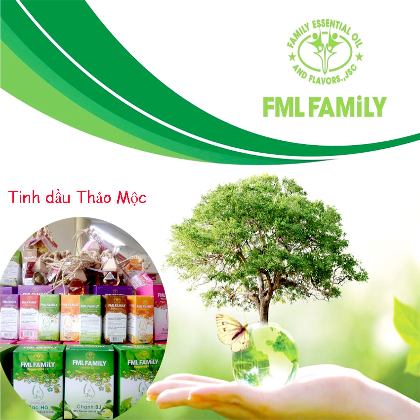 Mua Tinh Dầu Thảo Mộc Xanh FML Family Giá Sỉ Ở Đâu?