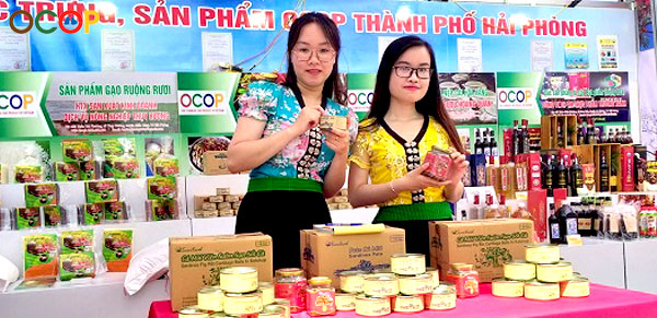 Vinacel - Hỗ Trợ Tiêu Thu Sản Phẩm OCOP Tỉnh Hải Phòng