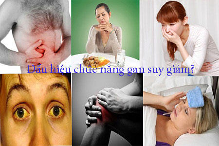 Dấu hiệu nhận biết chức năng gan suy giảm?