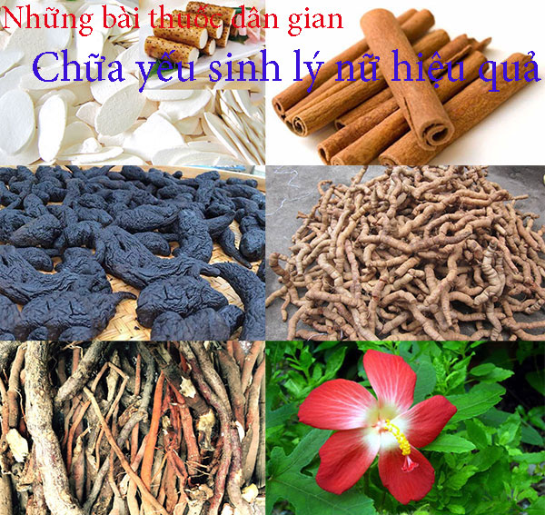 Bài thuốc dân gian chữa yếu sinh lý nữ hiệu quả