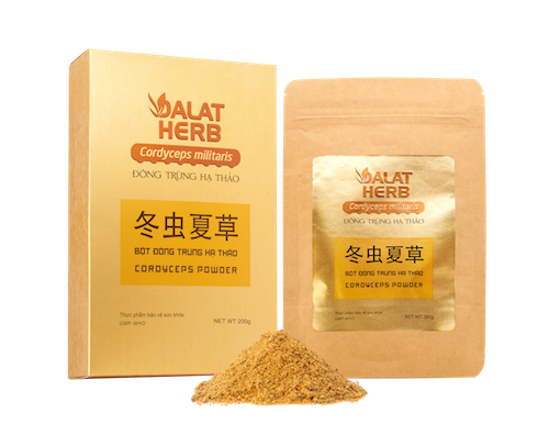 Mua bột đông trùng hạ thảo Dalatherb Cordyceps chính hãng ở đâu?