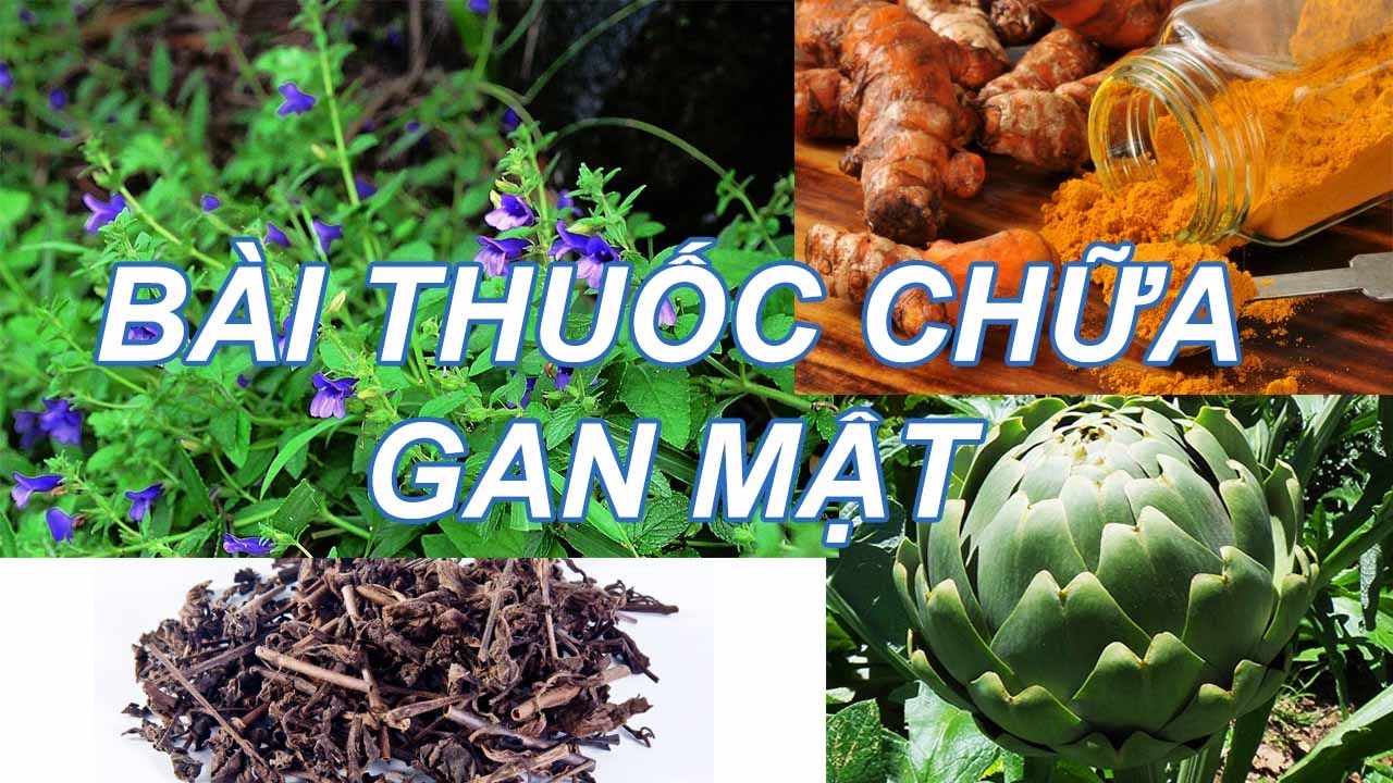 Bài thuốc hay chữa bệnh gan - mật