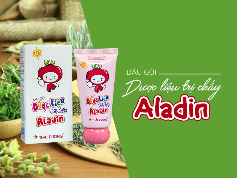 Dầu Gội Trị chấy Aladin Mua Ở Đâu, Giá Bao Nhiêu, Có Tốt Không?