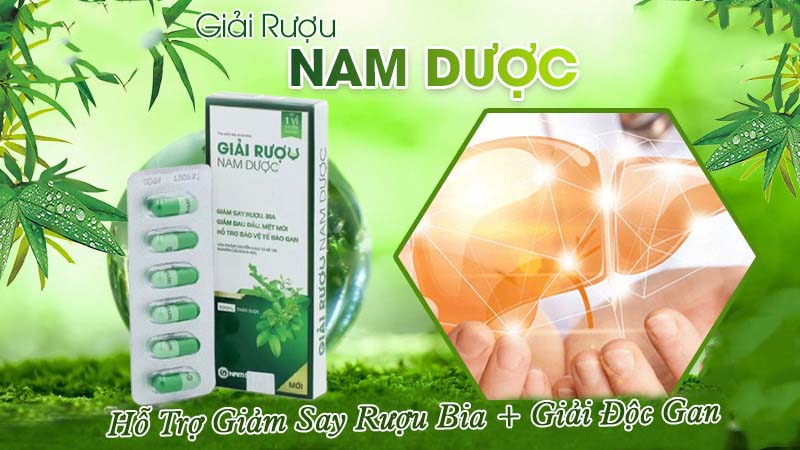 Giải Rượu Nam Dược Mua Ở Đâu, Giá Bao Nhiêu, Có Tốt Không?