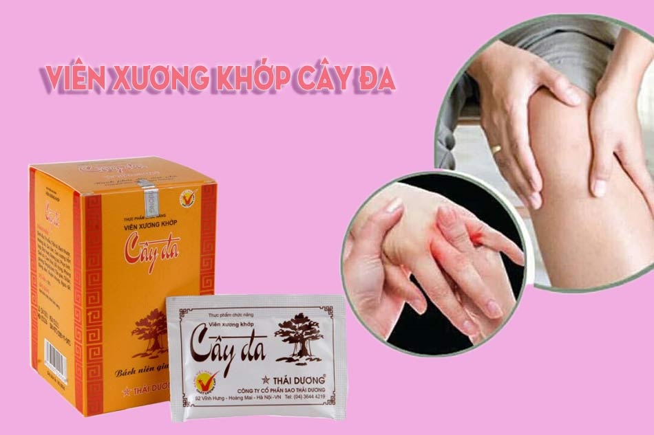 Mua Viên Xương Khớp Cây Đa Chính Hãng, Giá Sỉ?