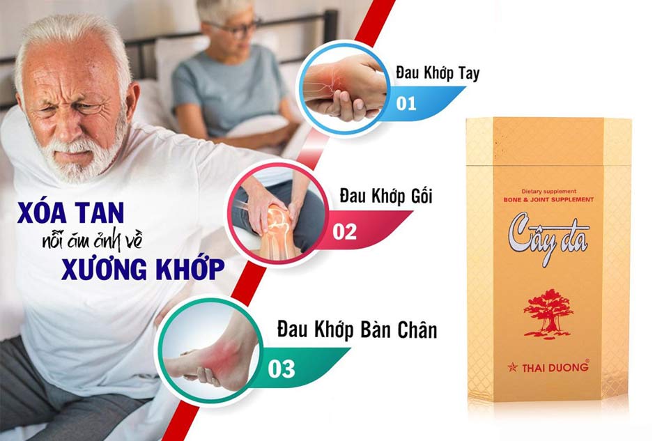 Viên xương khớp cây đa mua ở đâu, giá bao nhiêu, có tốt không?