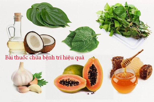 Bệnh trĩ và những bài thuốc dân gian điều trị hiệu quả