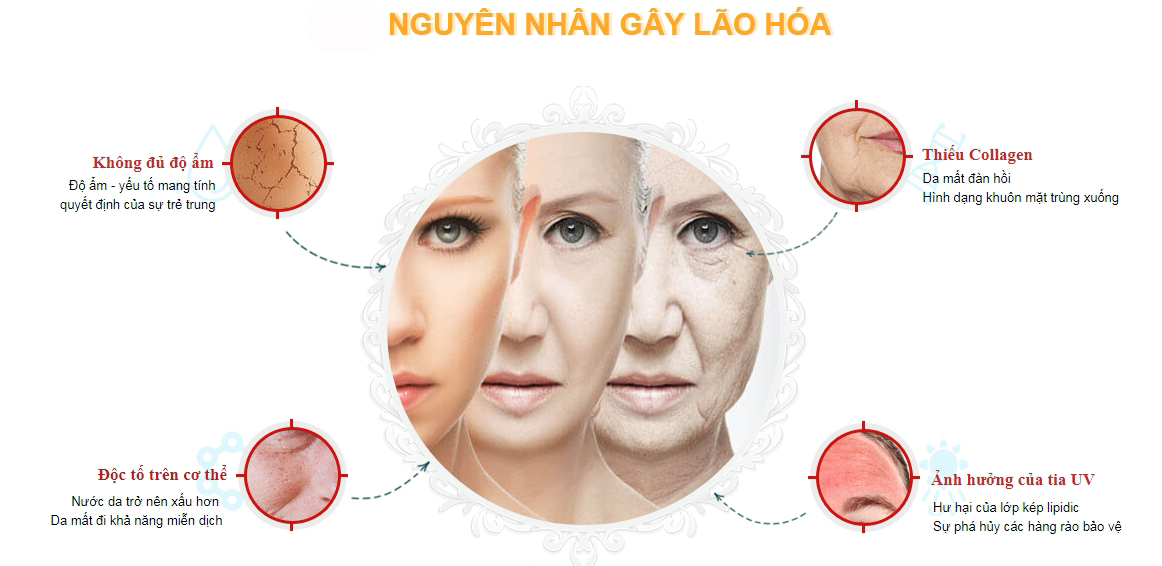 Nguyên nhân gây lão hóa da sớm từ bên trong và bên ngoài