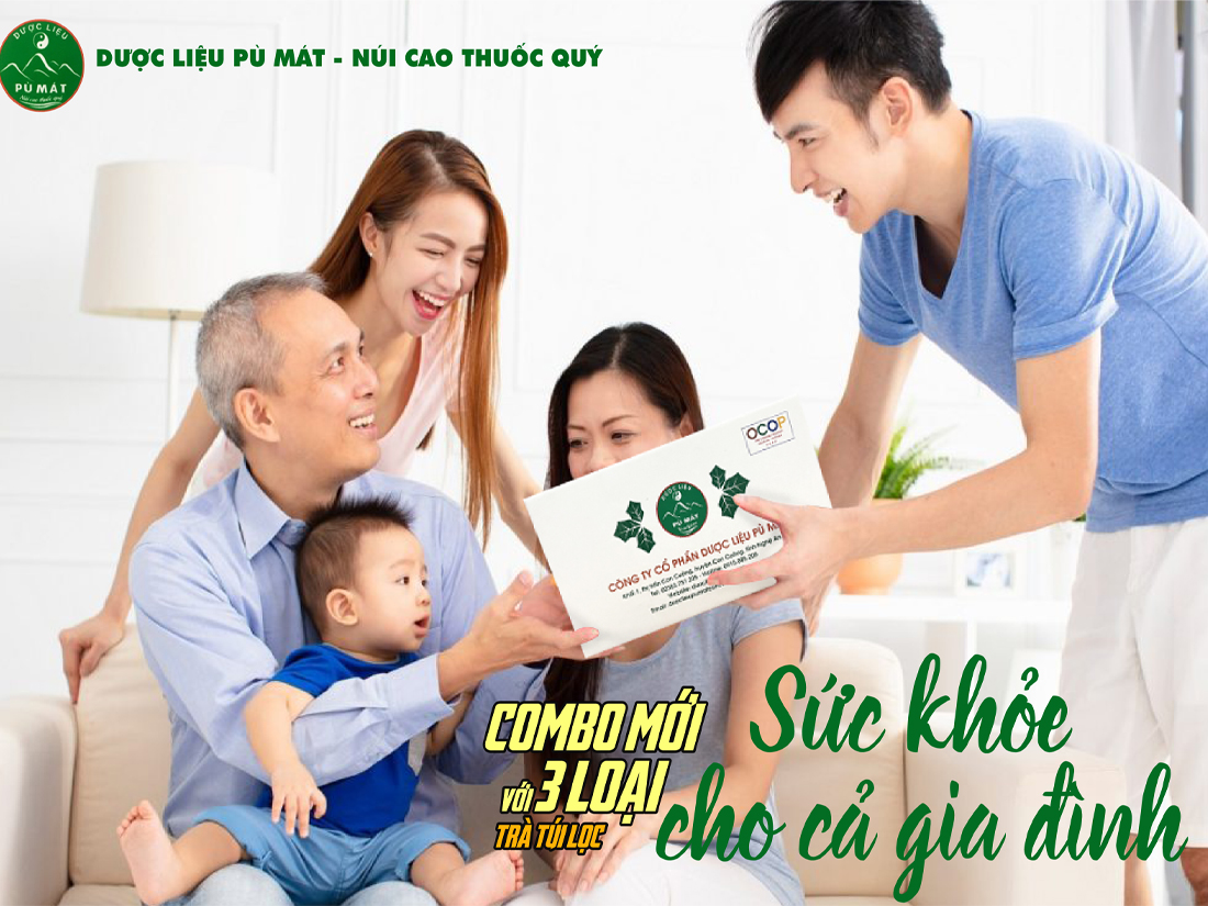 Mua Trà Dược Liệu Túi Lọc Cà Gai Leo Pù Mát Ở Đâu Uy Tín? Tốt Không?