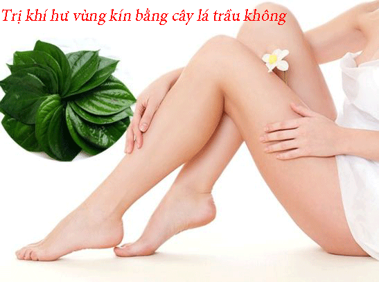 Trị dứt điểm khí hư vùng kín bằng cây lá tại nhà