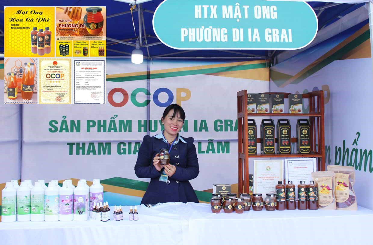 Vinacel - Hỗ Trợ Tiêu Thụ Sản Phẩm OCOP Tỉnh Gia Lai