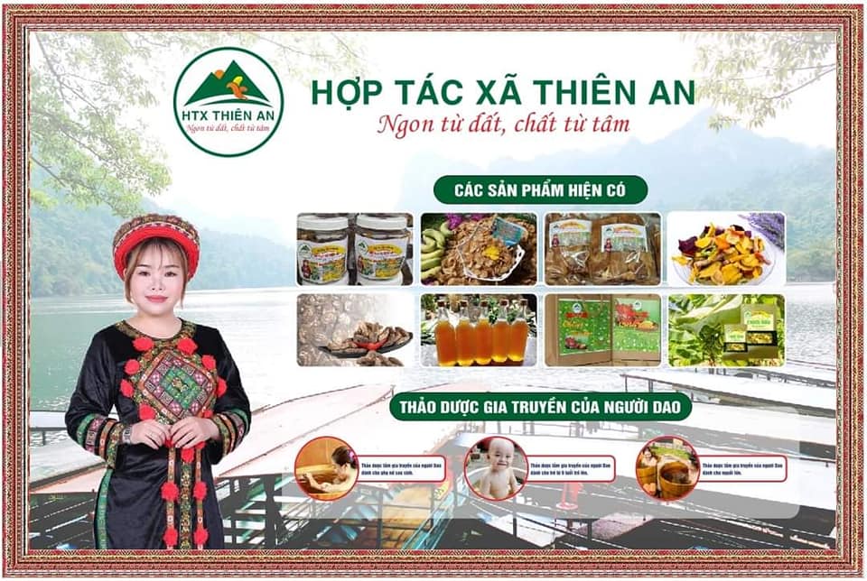 Hợp Tác Xã Thiên An - Ngon Từ Đất, Ngọt Từ Tâm