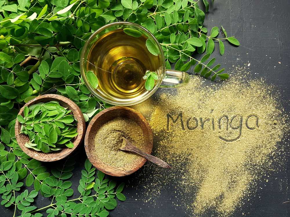 Công Ty Cổ Phần Quốc Tế Moringa - Sạch - An Toàn - Bỗ Dưỡng