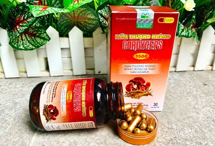 Nấm Thượng Hoàng Cordyceps 1500 Nguyên Sinh Mua Ở Đâu? Giá Bao Nhiêu? Có Tốt Không?