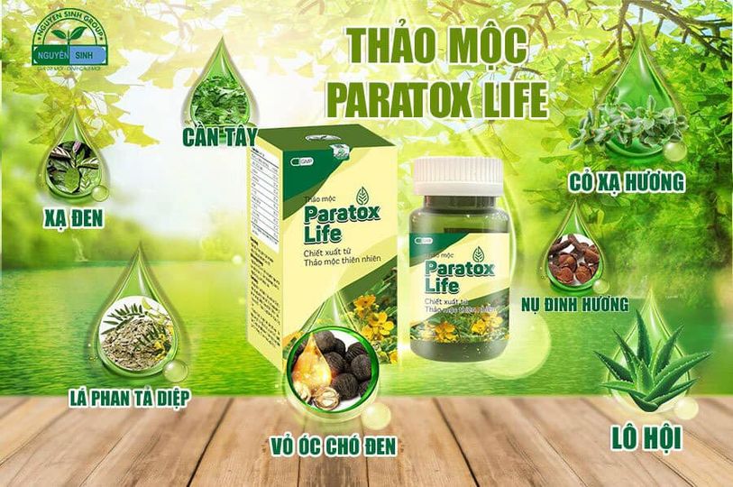 Thảo Mộc Paratox Life Nguyên Sinh Có Tốt Không? Mua Ở Đâu Đúng Giá, Đúng Chất Lượng?