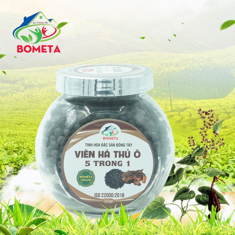 Hũ viên Hà Thủ Ô 5 in 1 đặc sản Bometa