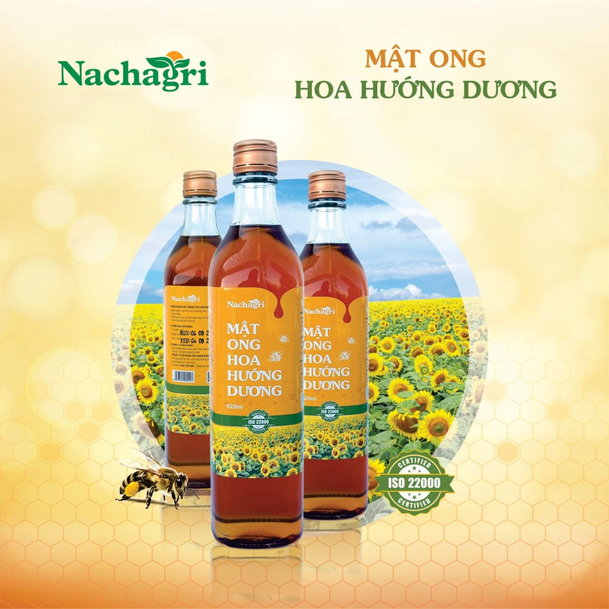 Mật Ong Hoa Hướng Dương Nachagri Bometa - 100% Mật Ong Hoa Hướng Dương