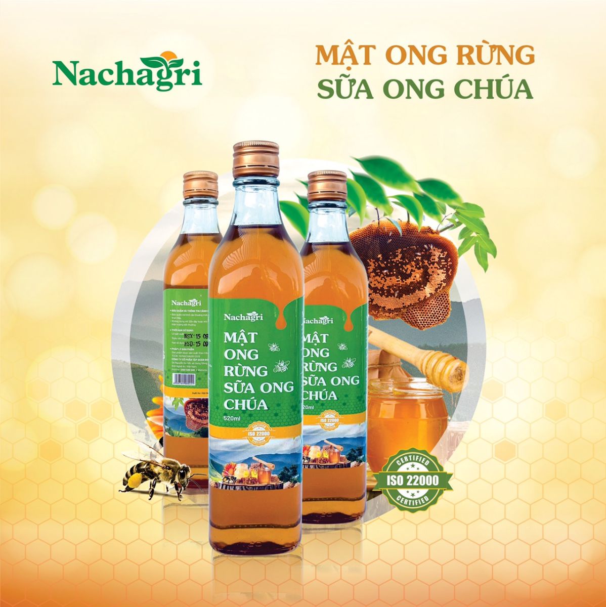 Mật Ong Rừng Sữa Ong Chúa Nachagri Bometa - Nguồn Dinh Dưỡng Mà Thiên Nhiên Ban Tặng