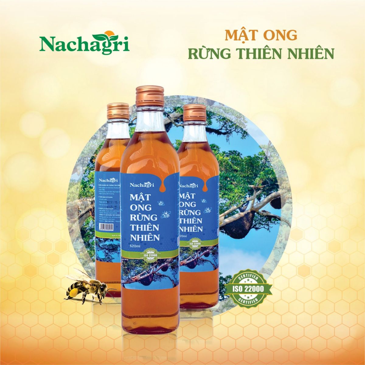 Mật Ong Rừng Thiên Nhiên Nachagri Bometa - Hoàn Toàn Từ Tự Nhiên