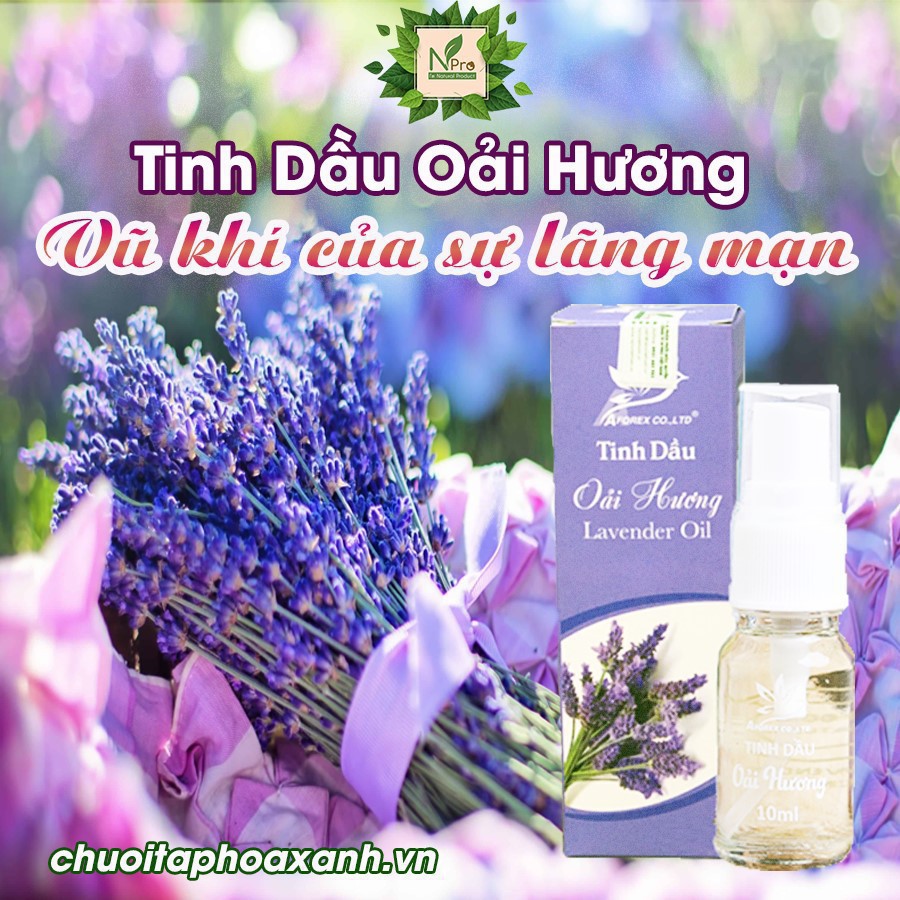 Tinh Dầu Oải Hương NPro 