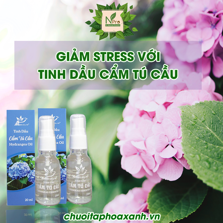 Tinh Dầu Cẩm Tú Cầu NPro 