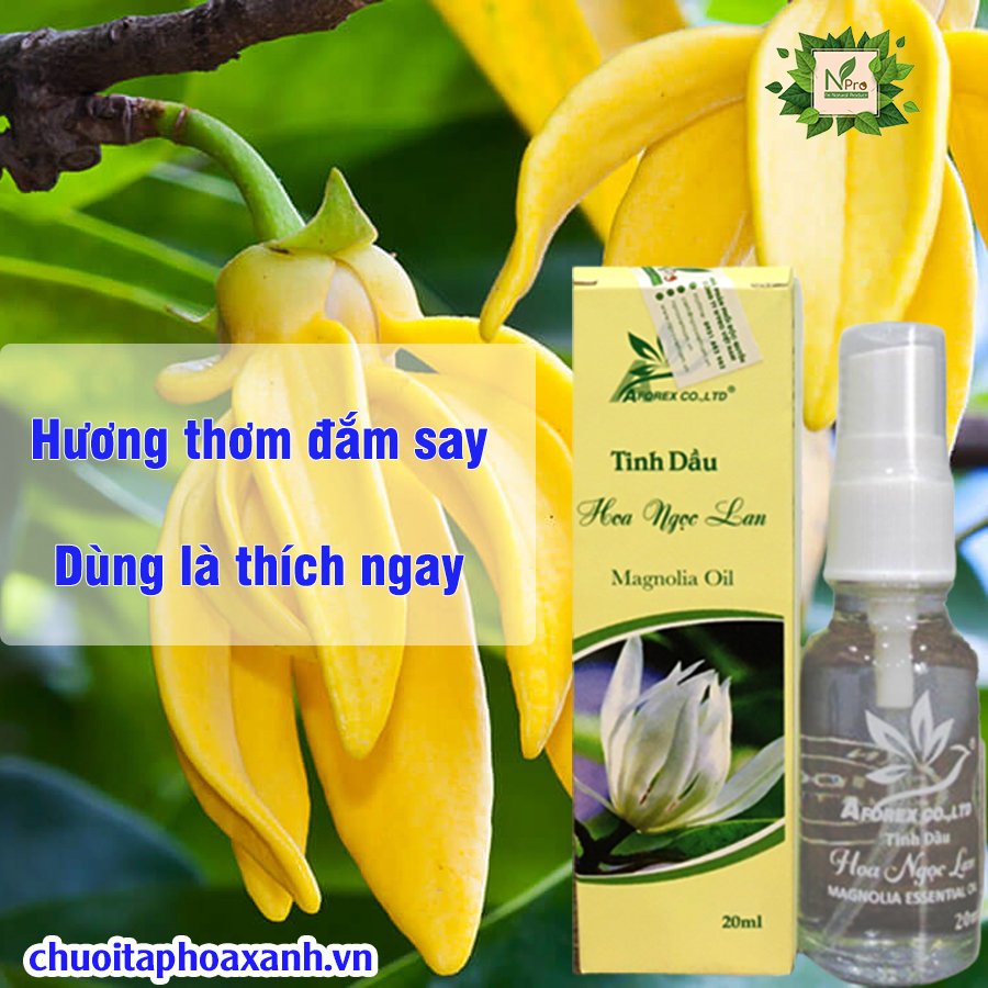 Tinh Dầu Ngọc Lan NPro 