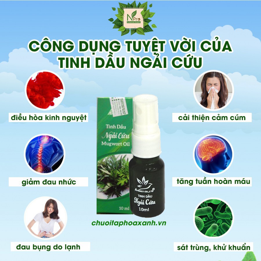 Tinh Dầu Ngải Cứu NPro