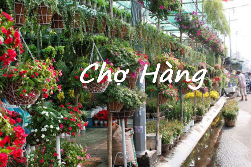 Chợ Hàng – Phiên chợ quê trong lòng phố Cảng