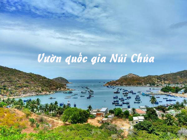 Vườn quốc gia Núi Chúa, Ninh Thuận – Khu bảo tồn đa dạng sinh học