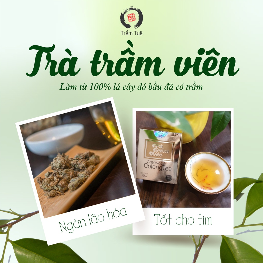 Trà Trầm Viên Trầm Tuệ