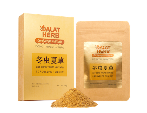 Bột đông trùng hạ thảo Dalatherb Cordyceps 100gr PLD