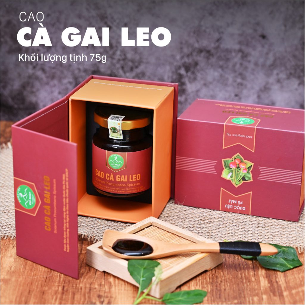 Cao Cà Gai Leo Pù Mát - SP OCOP 4 Sao Nghệ An