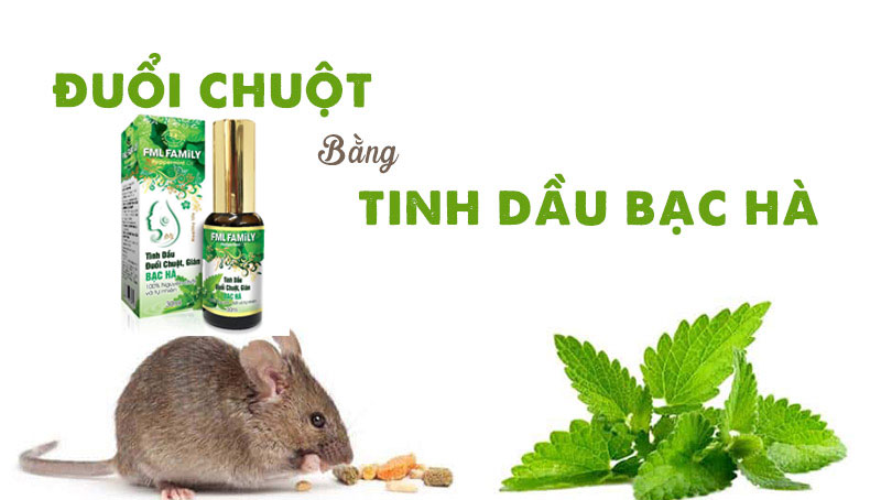 Tinh Dầu Đuổi Chuột Bạc Hà FML Family 