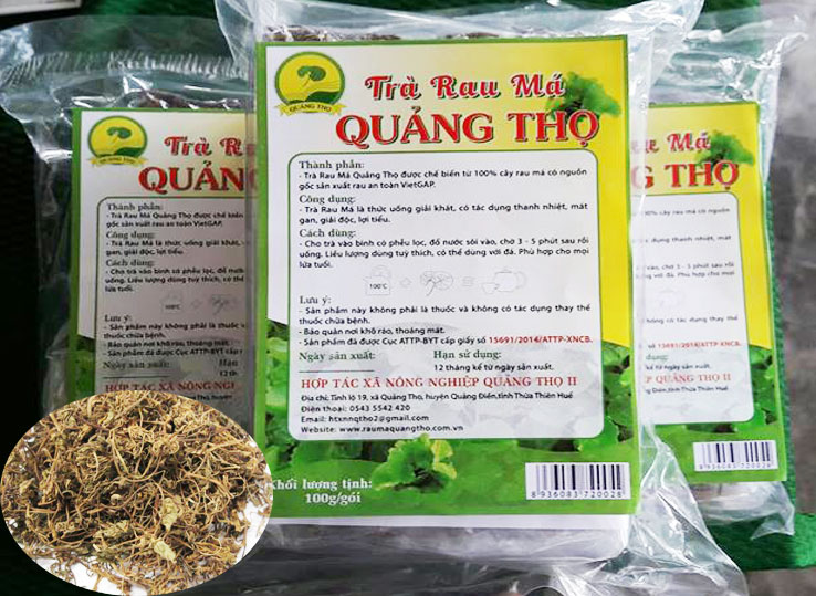 Trà Rau Má Sao Khô Quảng Thọ 2 - SP OCOP 4 Sao Huế