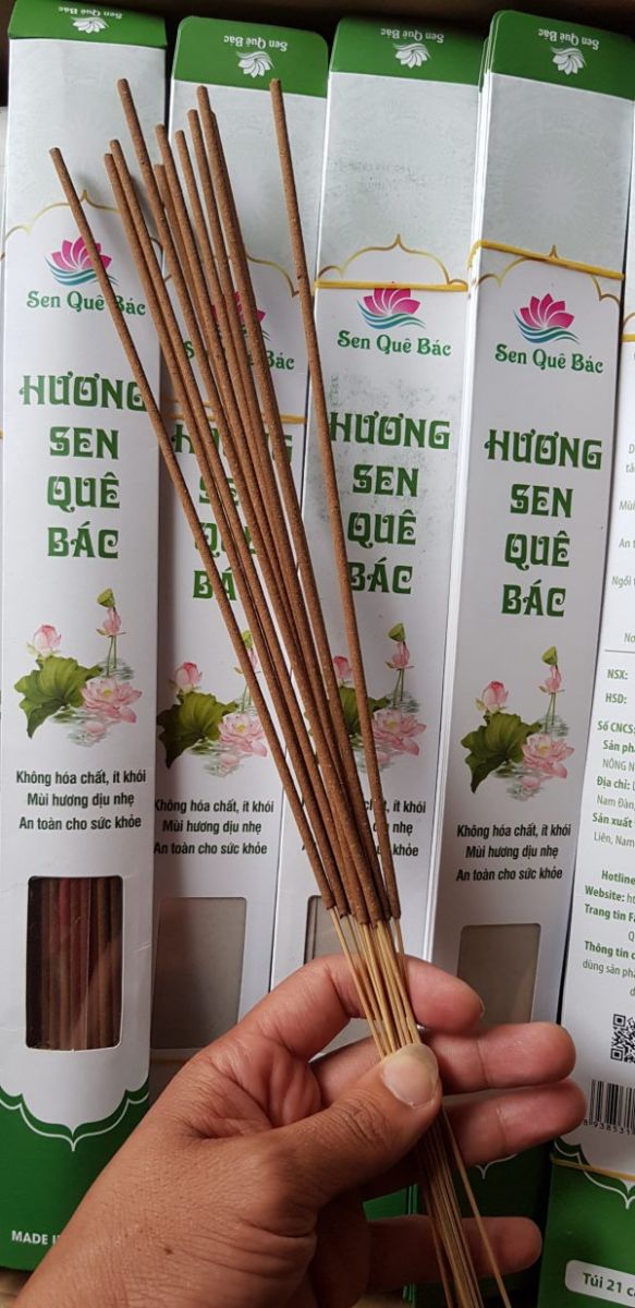 Nhang Hương Sen Quê Bác - SP OCOP 3 Sao Nghệ An