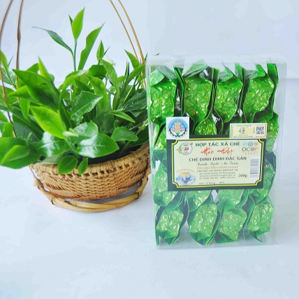 Chè Đinh Đặc Sản Ấm Xanh Hảo Đạt - SP OCOP 5 Sao Quốc Gia