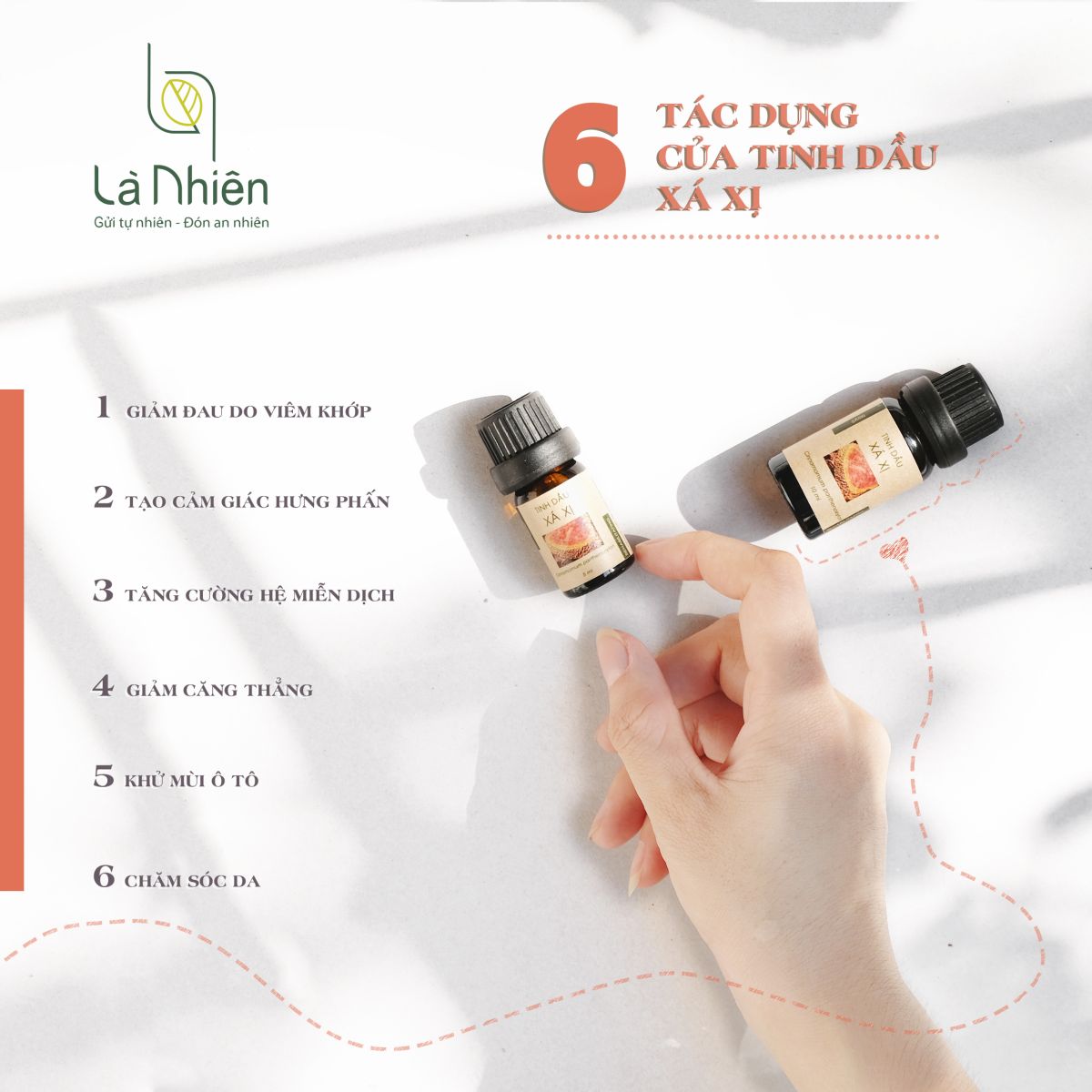 Tinh Dầu Xá Xị Là Nhiên - Tăng Cường Hệ Miễn Dịch