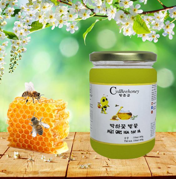 Mật Ong Cao Cấp Bạc Hà CvdBeehoney - Minh Anh Fresh Food