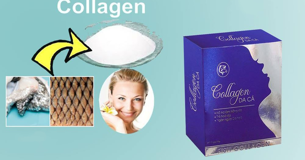 Collagen Da cá Passion Dr Cell