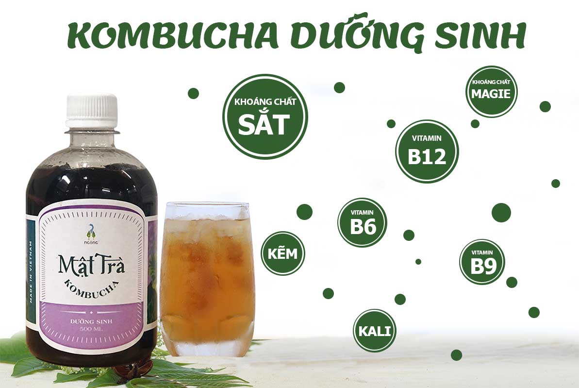 Mật Trà Kombucha Dưỡng Sinh Ngỗng - Mùi Vị Thơm Dịu Tự Nhiên