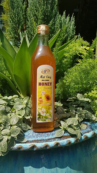 Mật ong hoa rừng chai 500ml Ong Vàng Gia Lai