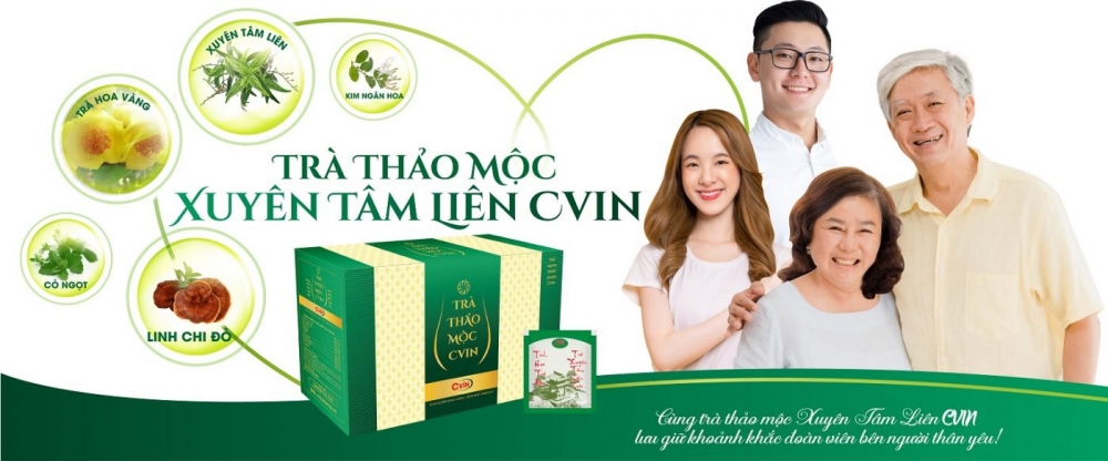 Trà Thảo Mộc Xuyên Tâm Liên CVIN - Tăng Cường Sức Đề Kháng